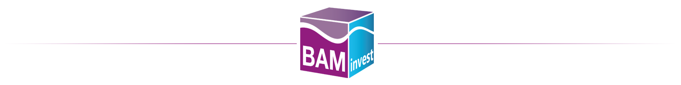 Groupe BAM INVEST